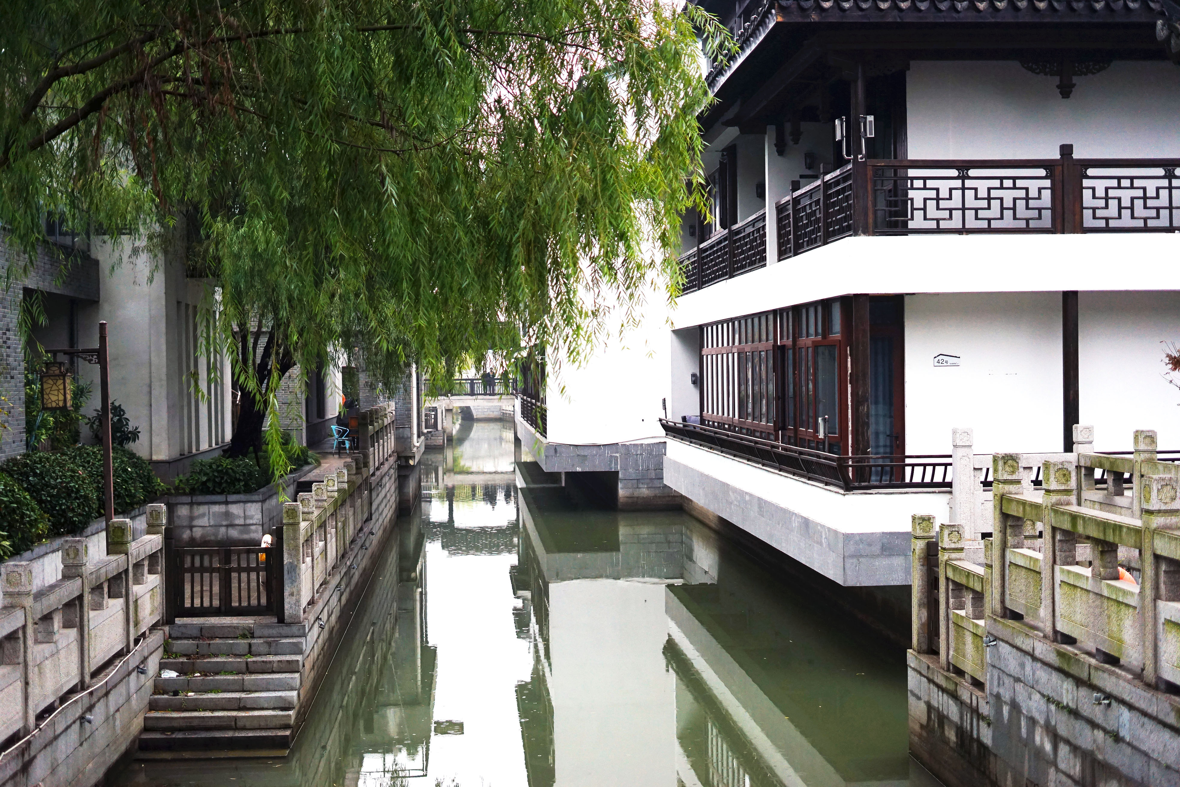 苏州是个温柔的地方,苏州人是个雅致的女人