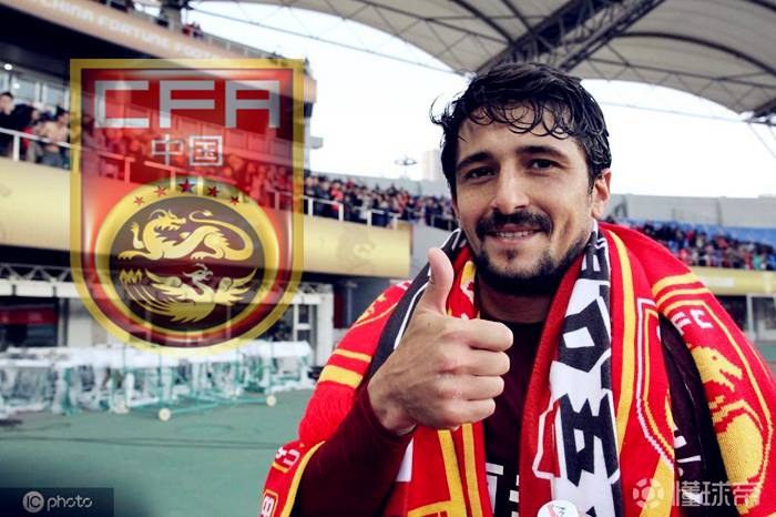 野牛进家,野牛加入国家队