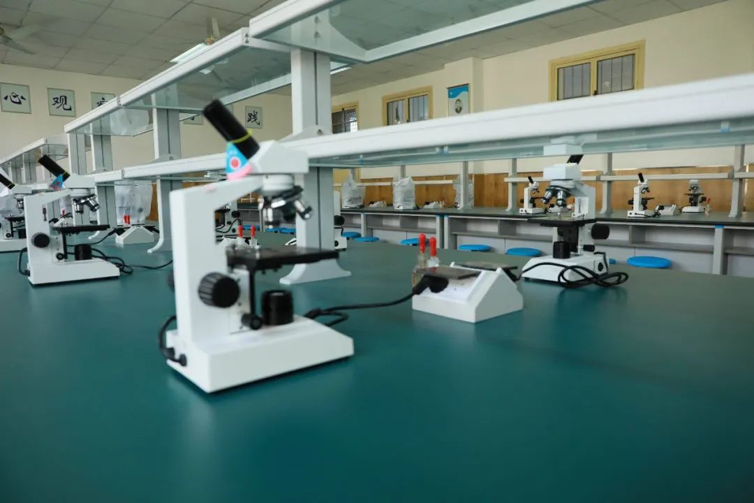 西安汇知中学怎么样,西安汇知中学会转公办吗