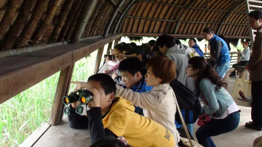 西溪湿地免费开放预约,西溪湿地免费区游览时间