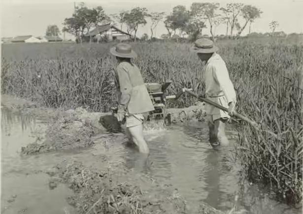 开国元帅当中,唯有他没有子女,初恋跳崖自尽,两场婚姻甚是坎坷