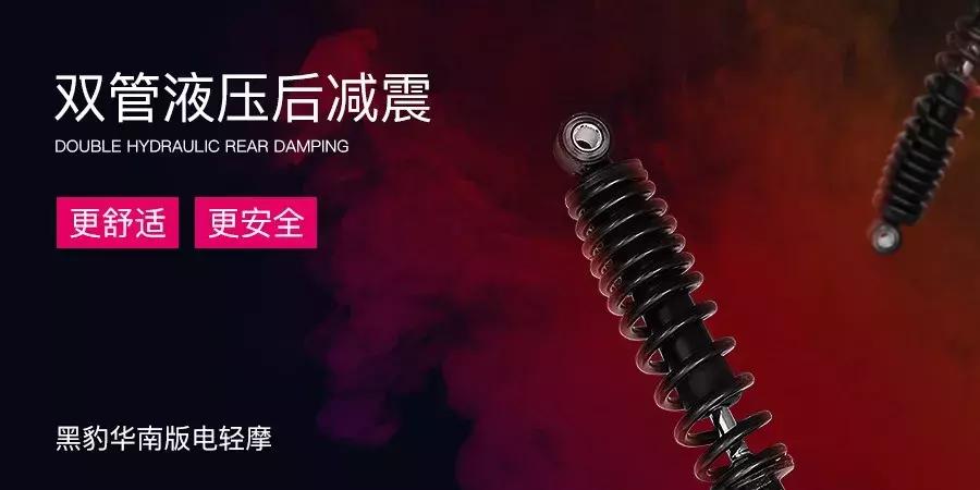 V为大观，一场来自华南的感官之旅