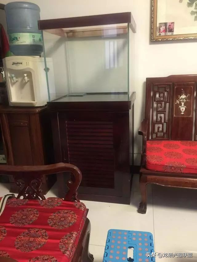 垃圾桶旁边的四方鱼缸,捡回去养了一缸金鱼,别说还挺不错