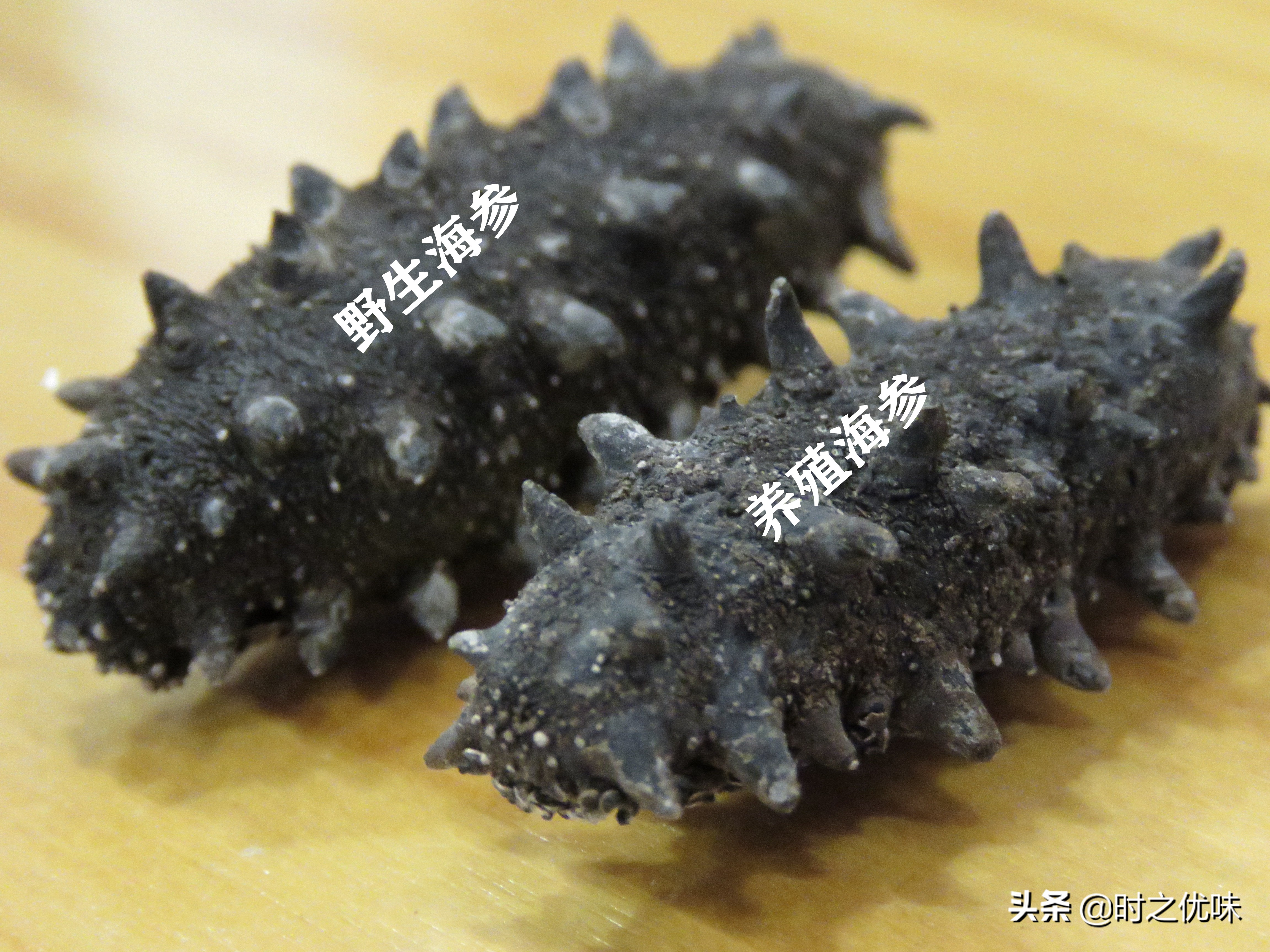 人工养殖的海参与辽参的营养区别,养殖参和野海参的营养区别