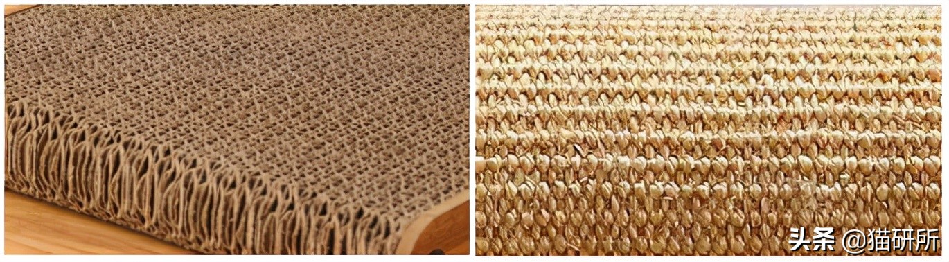 怎么惩罚猫咪挠沙发,猫咪不会挠坏的沙发