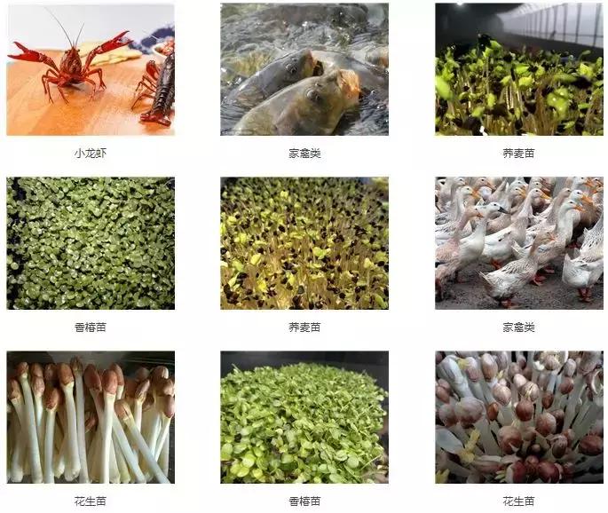 入围企业|安徽牧润农业科技有限公司