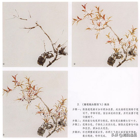 怎样画国画桃花的绘画技法,国画写意桃花技法视频