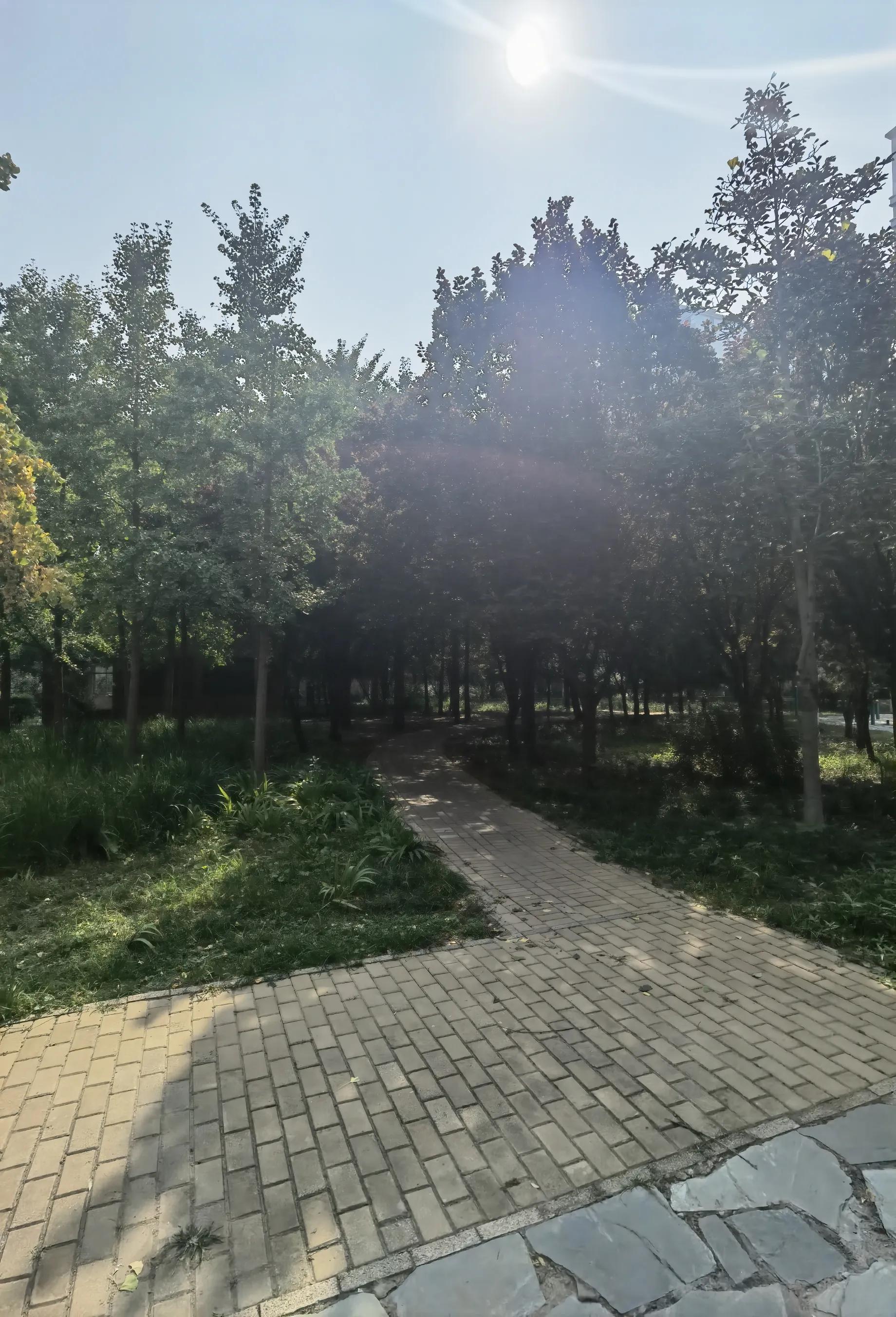 紫薇天悦北京全貌,北京朝阳区紫薇天悦