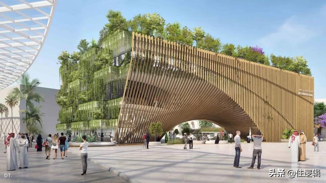 2020年迪拜世博会的展示设计鉴赏,迪拜世博会绝美建筑设计图