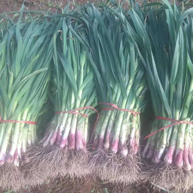 清水县特色美食,清水县美食攻略