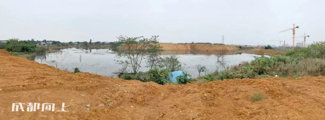 大运村建设火热朝天，成都大学已经上天