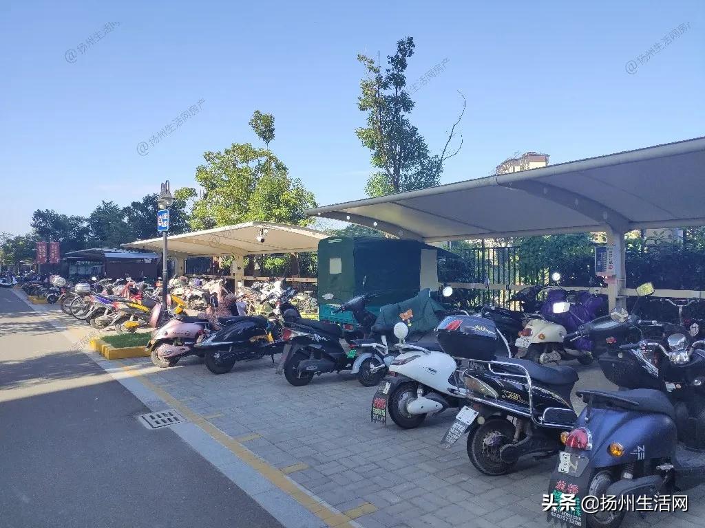 实探烂尾楼,实探被曝光