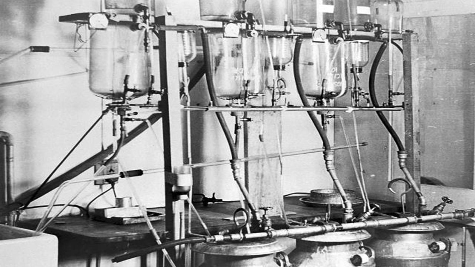 超越希波克拉底的发现，细菌的克星青霉素，历经波折终究造福人类