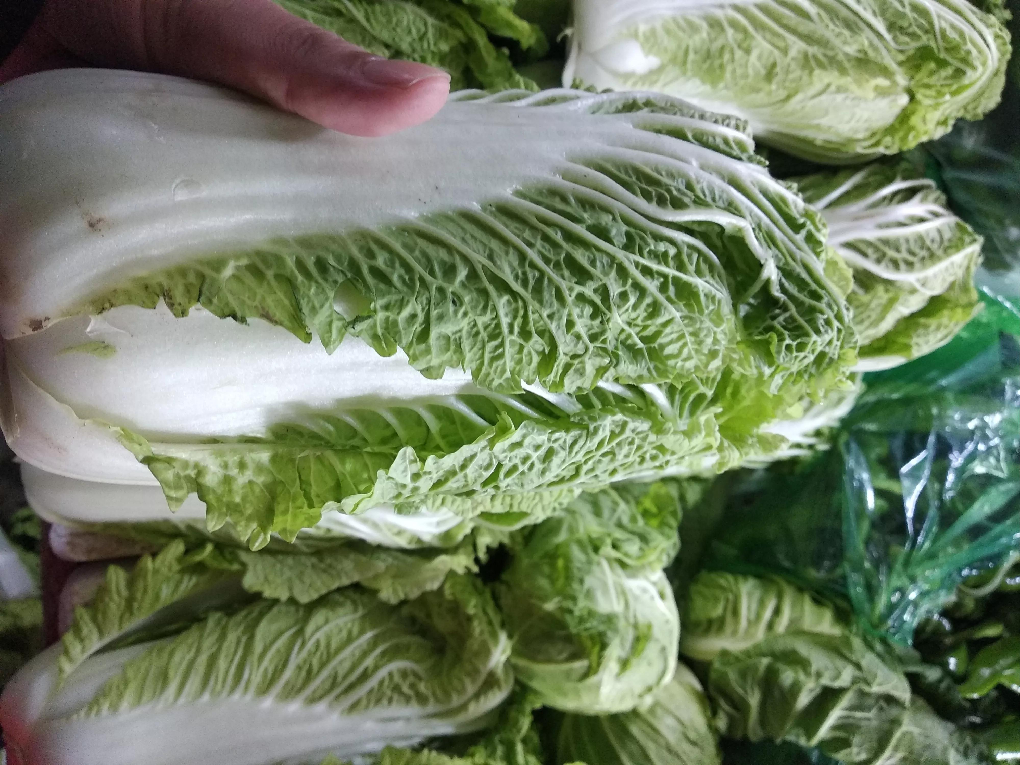 白菜上市!长棵的、短棵的、黄心绿帮的,哪种好?听听大妈怎么说