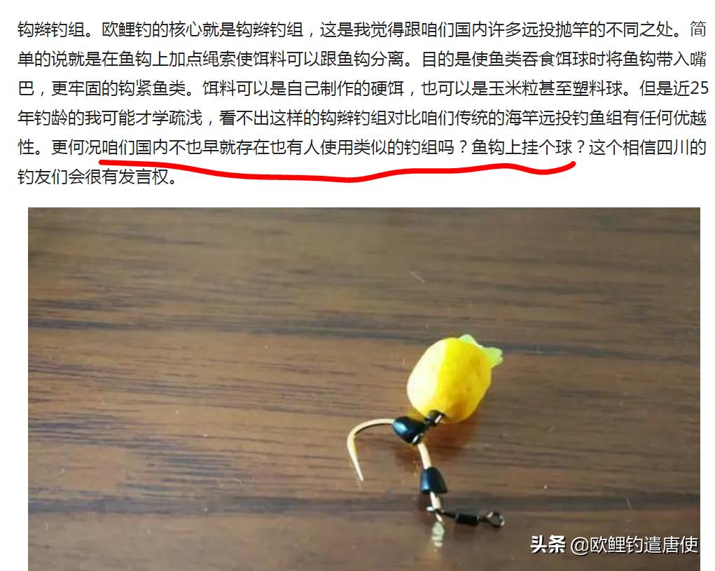 欧鲤钓适合中国吗,欧鲤钓入门