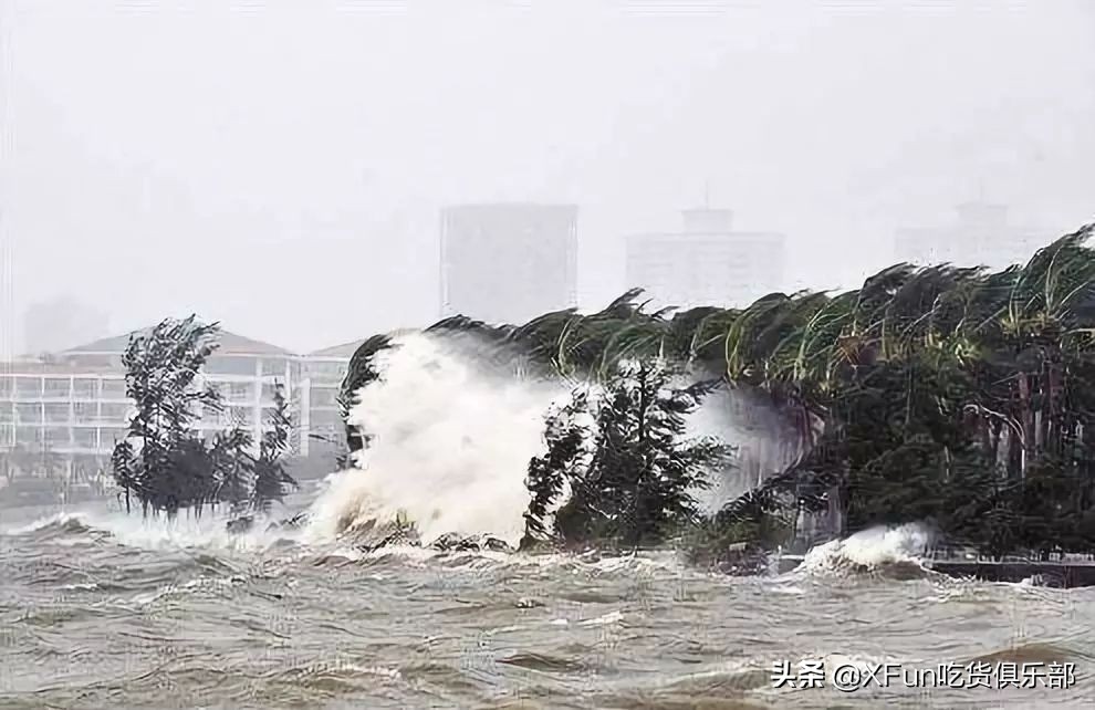 蓝山咖啡难道真的好喝吗,正宗的蓝山咖啡喝起来是什么样的