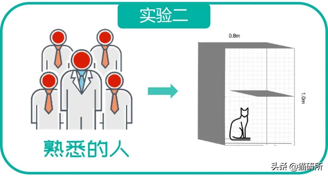 如果一直盯着时间看会发生什么,为啥不能盯着猫咪的眼睛看