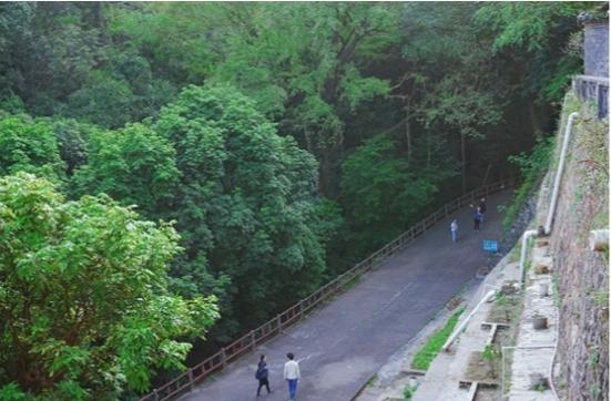 广东最美大专院校,广东最没存在感的大专院校