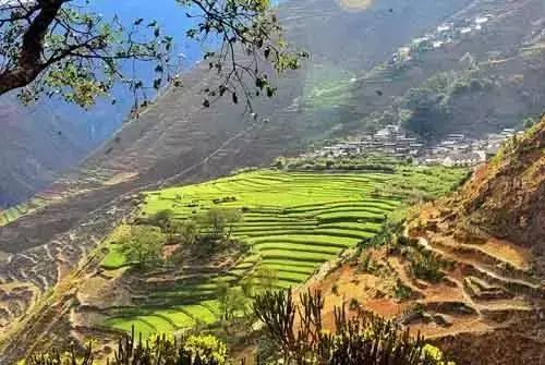 大理网红地方有哪些,云南大理网红景点洱海