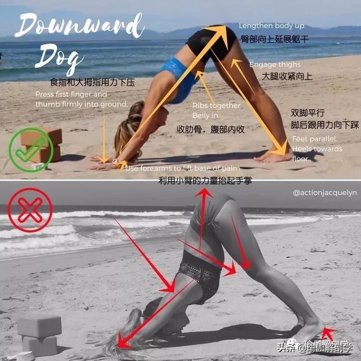 28个常见瑜伽体式,瑜伽25个正确错误动作对比