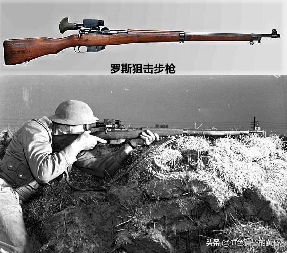 加拿大民用步枪是半自动吗,加拿大步枪中国步枪