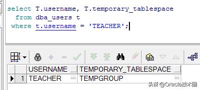 oracle进程和实例管理,oracle的项目管理软件