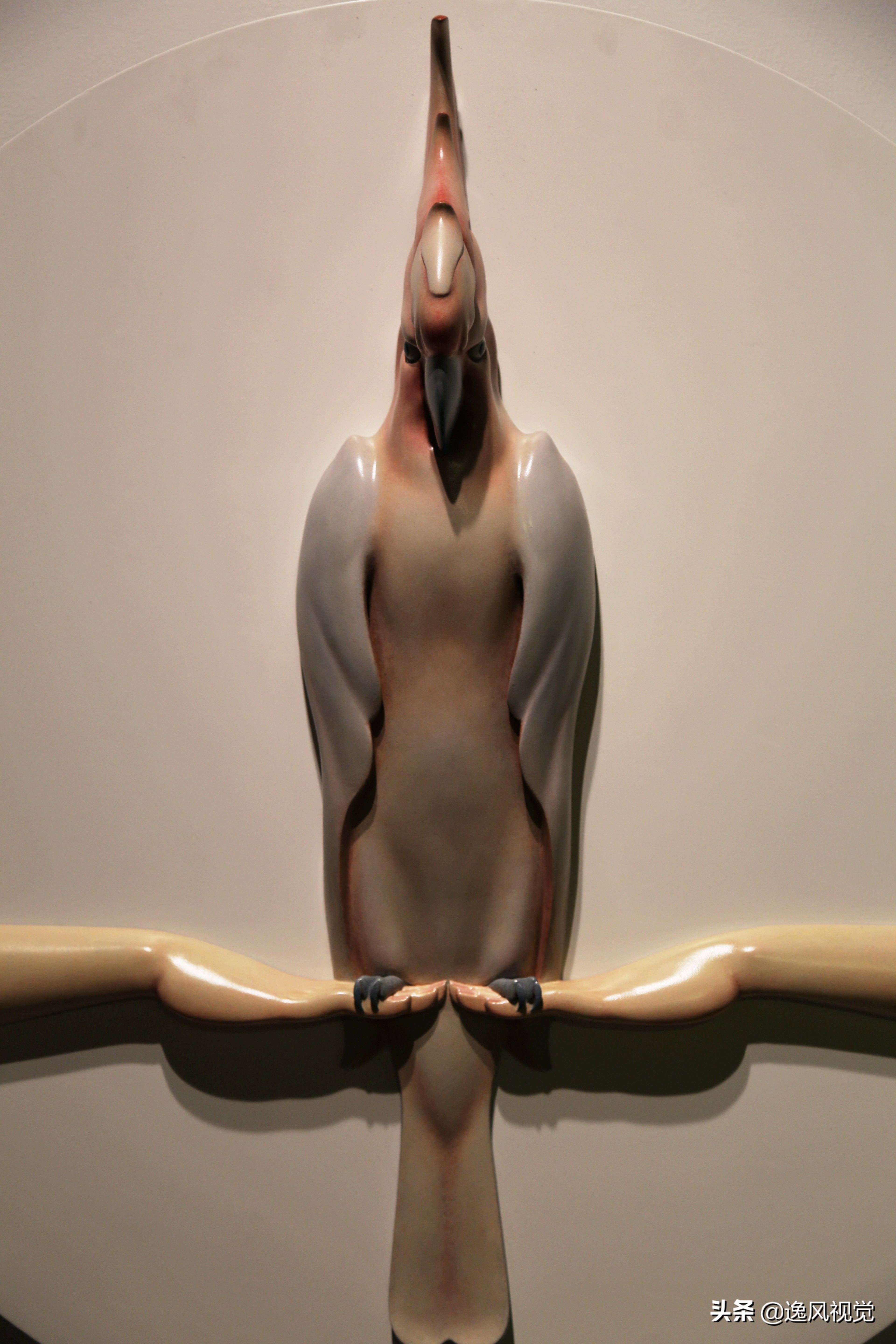 活动摄影24-70拍摄技巧,看展人物摄影拍摄技巧