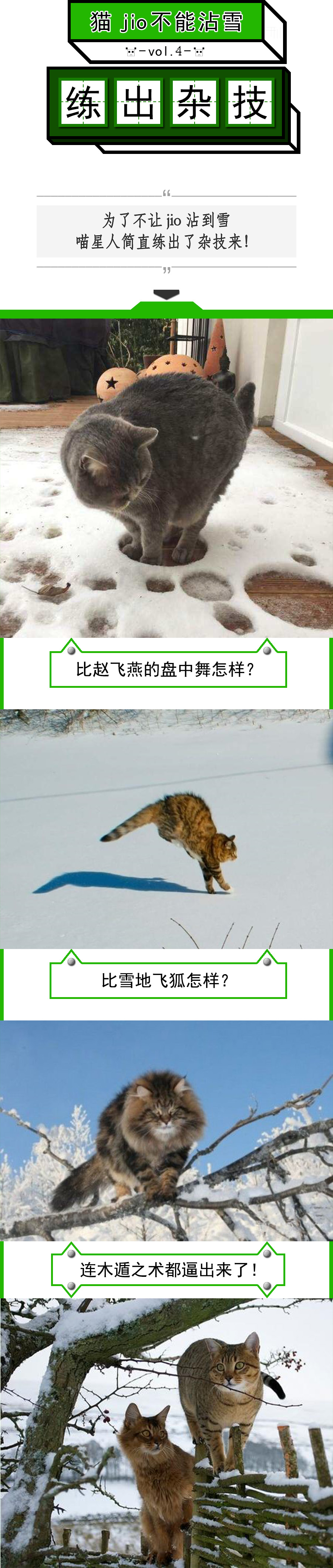 猫爪为什么那么有力,猫爪那么锋利猫舔手不会受伤吗