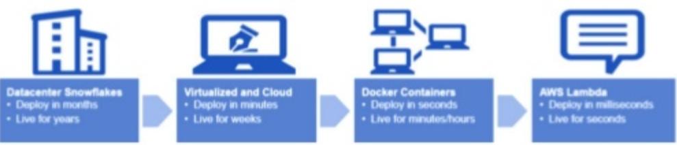 容器底层部署虚拟化,航司数字化平台