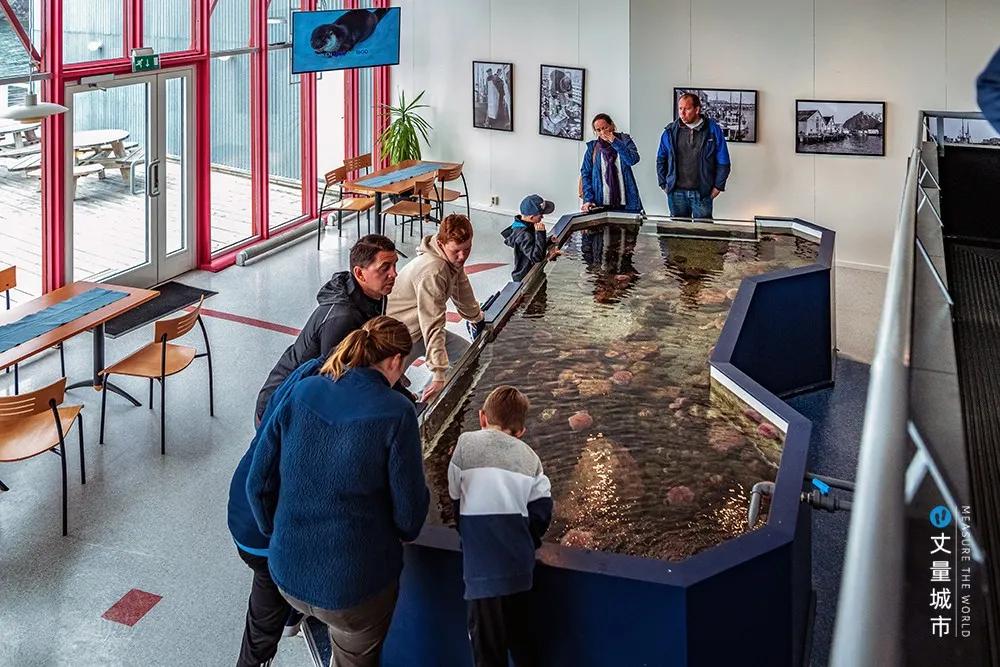 维京遇到全域旅游,美丽乡村、特色小镇一网打尽:挪威渔业史漫步