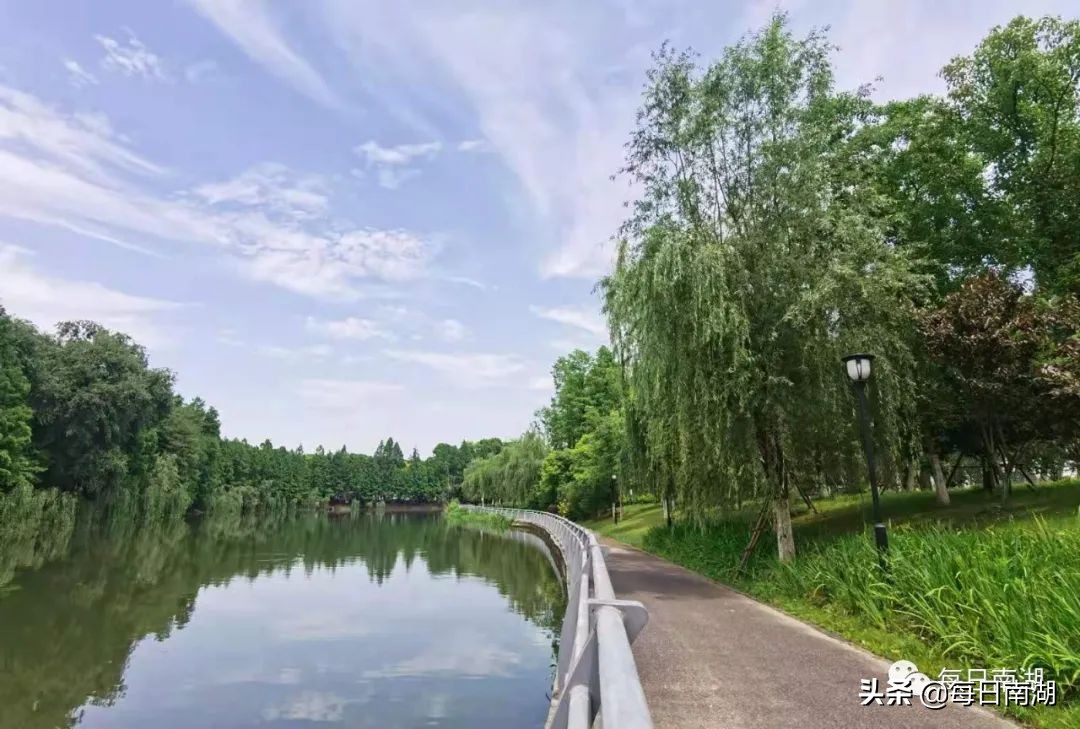 南湖的生态公园,南湖公园在未来哪里