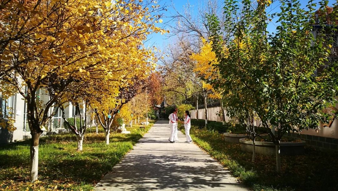 北京所有小学排名一览表,北京30所小学排名一览表