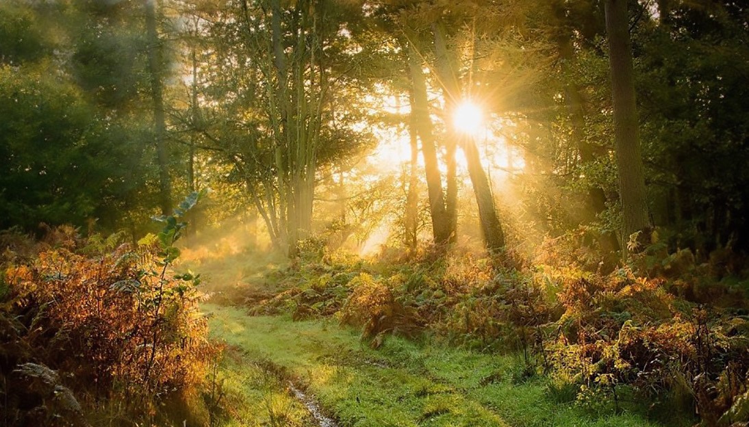 面对失眠的困扰针对性解决很重要,面对失眠哪些是正确的做法