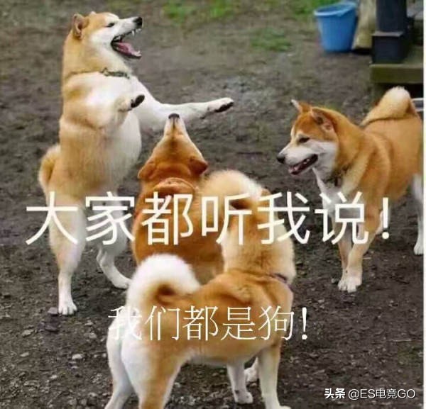 【刀圈二三事】AMS照片登上小卡片；P神查房成瘾反受其害醋意大发