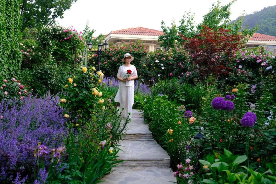 东北花园四季开花植物,北方一年四季都开花的花园