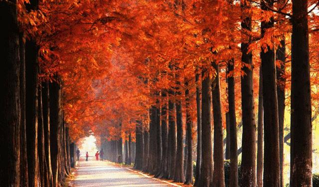 奥地利设计师操刀~热门综艺取景地，这里藏着你的冬日梦想