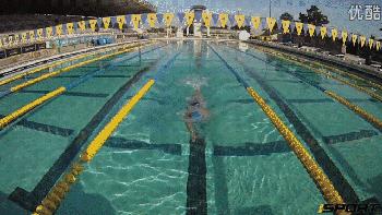 爬泳转身技术,爬泳中后交叉教学