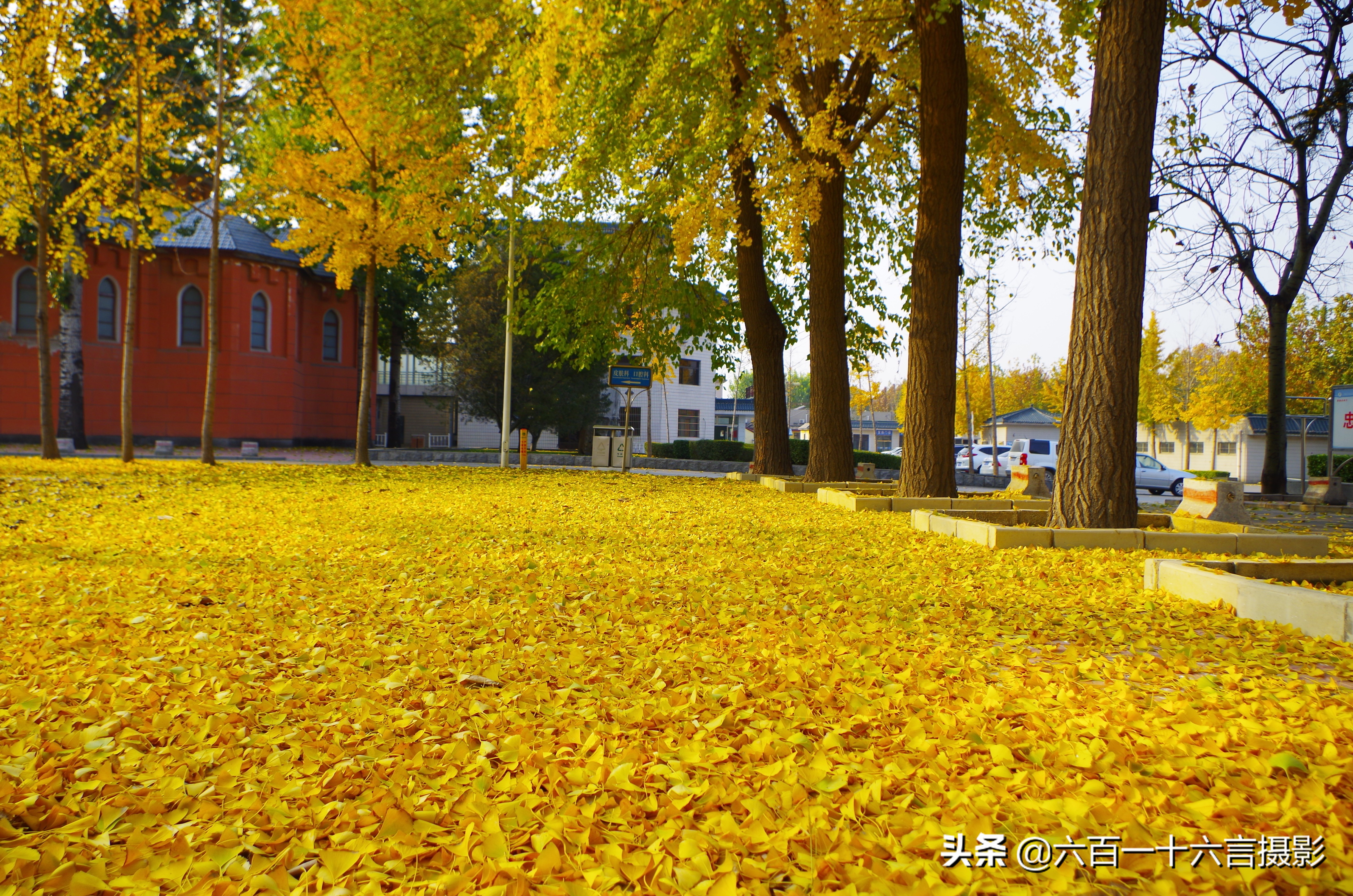 这里是正定04：传说中的御井长这样