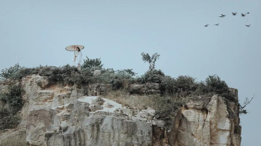 寡好议论文,寡到极致的文案