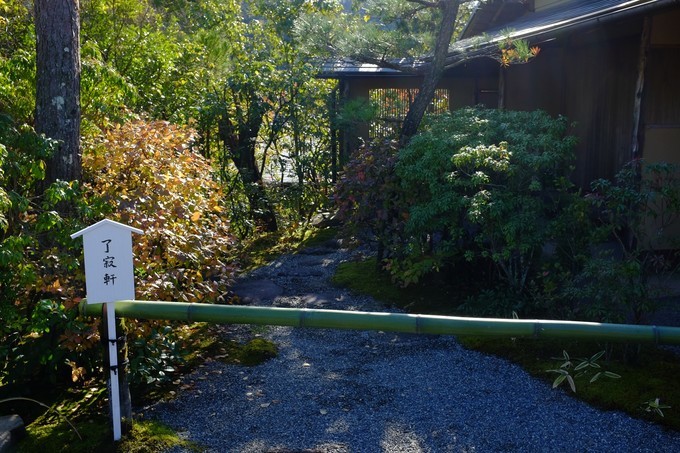 京都赏枫2022,京都赏枫必去景点有哪些好玩的