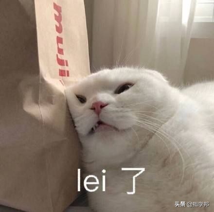 在培训机构能混多久,在培训机构干一年