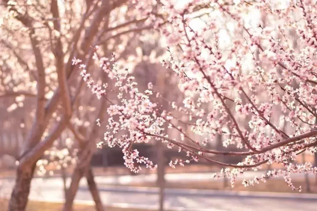 沈阳化工大学辽宁省排名,沈阳化工大学2020招生计划辽宁省