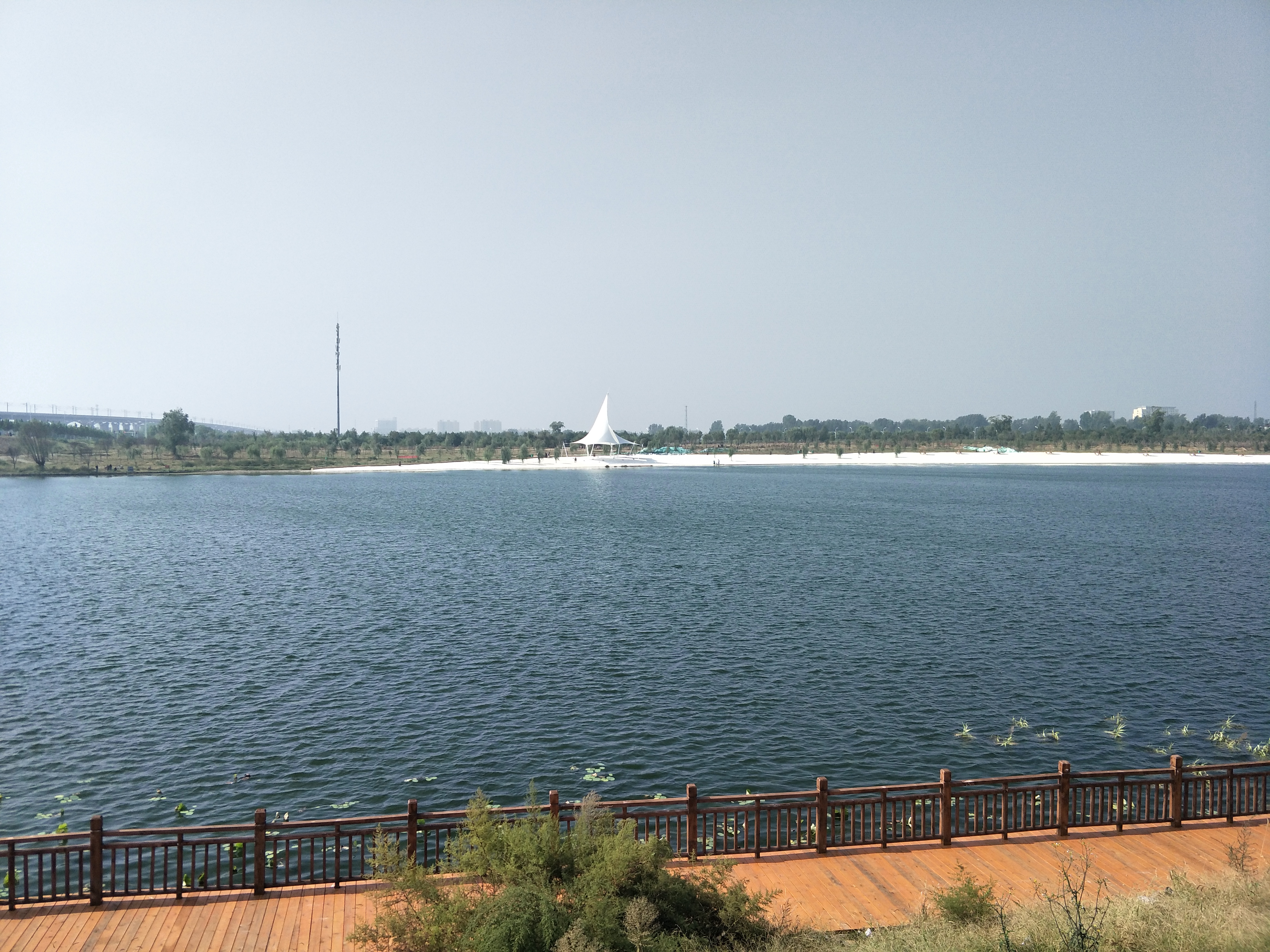 《淇河,我生命中的爱之恋》文/李红喜