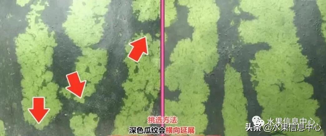 日本水果店怎么挑选,正宗日本水果店