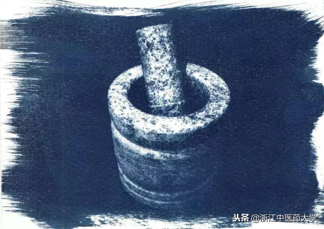 用镜头诉说中医药之美