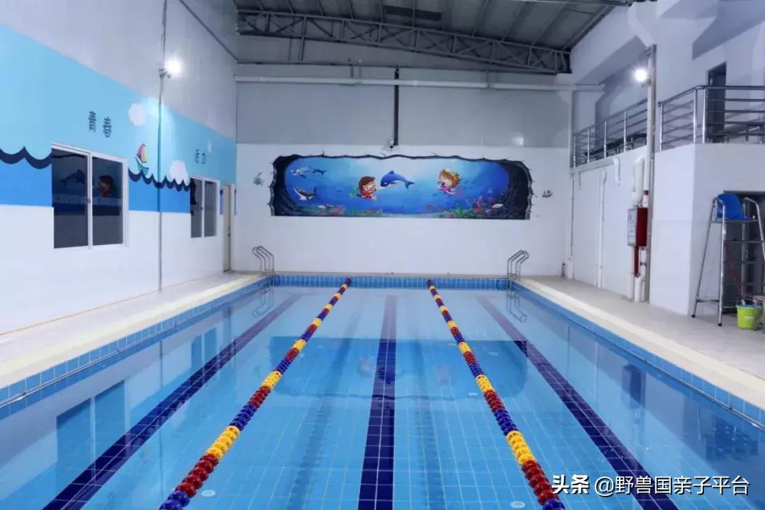 东莞哪里适合小孩子游泳冬天,暑假最适合学习游泳的地方