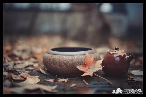 酵素治百病骗局是真的吗,酵素真能排出身体里的毒吗