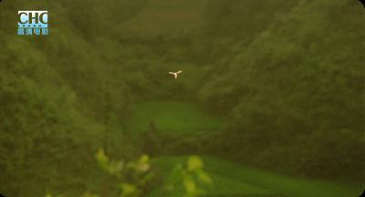 日本票房6亿的中国电影,国内票房破49亿