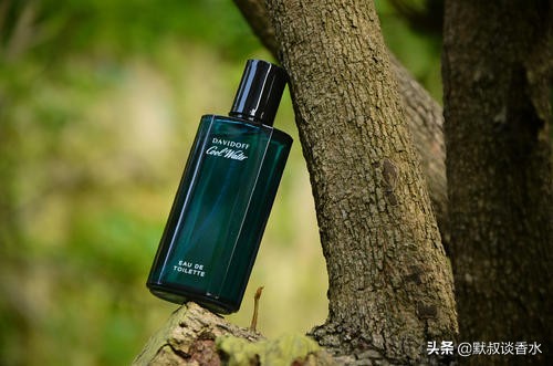 大卫杜夫冷水男士香水怎么样知乎,大卫杜夫冷水香水