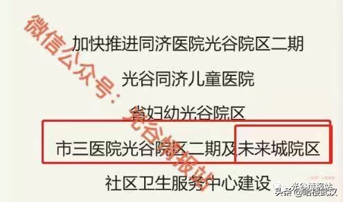 光谷这边有哪些三甲医院,光谷中心城有哪些三甲医院